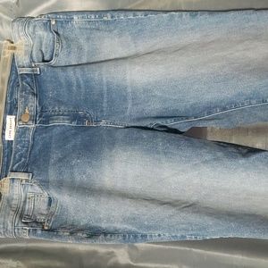 Lane Bryant Jeans
